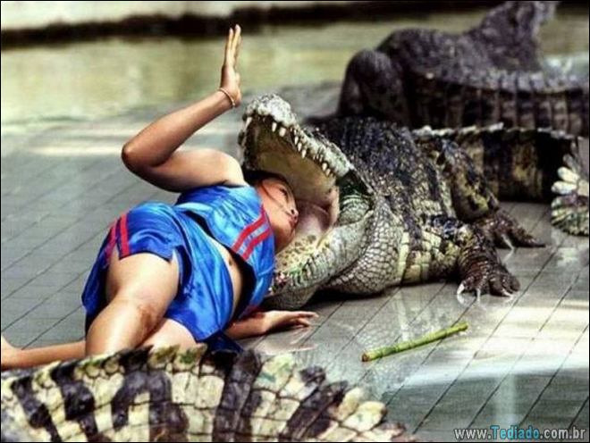 Eles merecem receber o prêmio loucos e idiotas do ano (36 fotos) 9