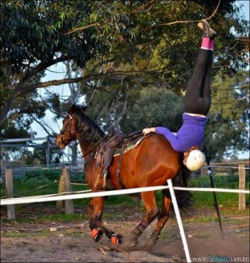 Eles merecem receber o prêmio loucos e idiotas do ano (36 fotos) 14
