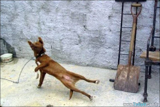 Quando o momento perfeito é pego na câmera (40 fotos) 3