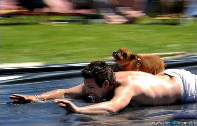 Quando o momento perfeito é pego na câmera (40 fotos) 5