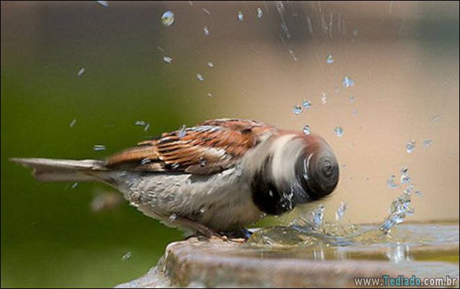 Quando o momento perfeito é pego na câmera (40 fotos) 10