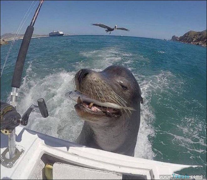 Quando o momento perfeito é pego na câmera (40 fotos) 20