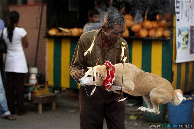 Quando o momento perfeito é pego na câmera (40 fotos) 23