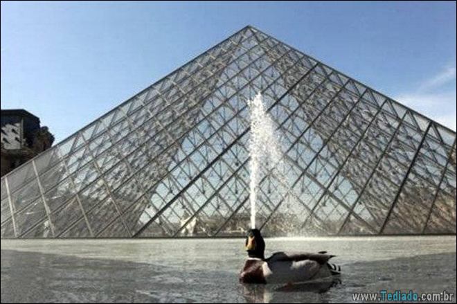 Quando o momento perfeito é pego na câmera (40 fotos) 36