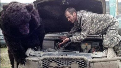 Rússia: a pátria do estranho (32 fotos) 31