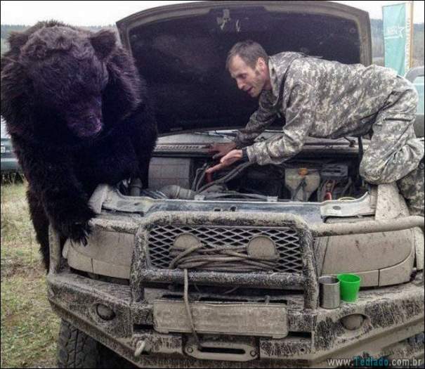 Rússia: a pátria do estranho (32 fotos) 16