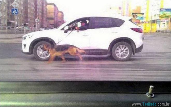 Rússia: a pátria do estranho (32 fotos) 24