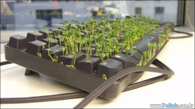 Se divertindo no trabalho como nunca (29 fotos) 4