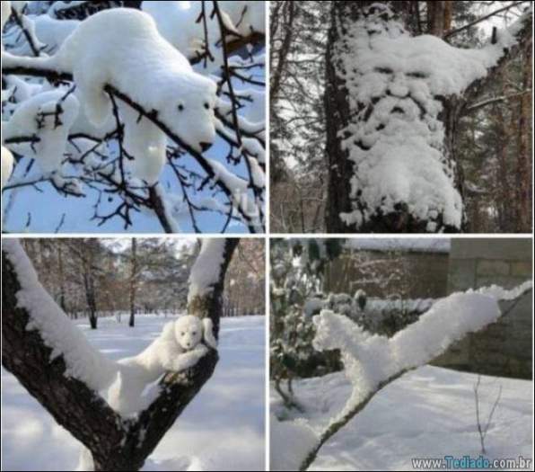 28 talentos incríveis, legais e talentosos 24