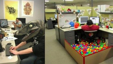 Se divertindo no trabalho como nunca (29 fotos) 41