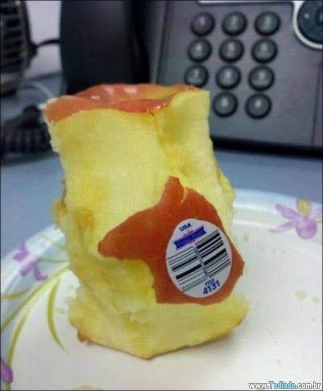 A preguiça faz o mundo girar (35 fotos) 3