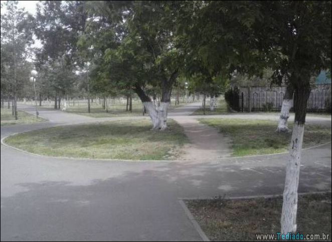 A preguiça faz o mundo girar (35 fotos) 5