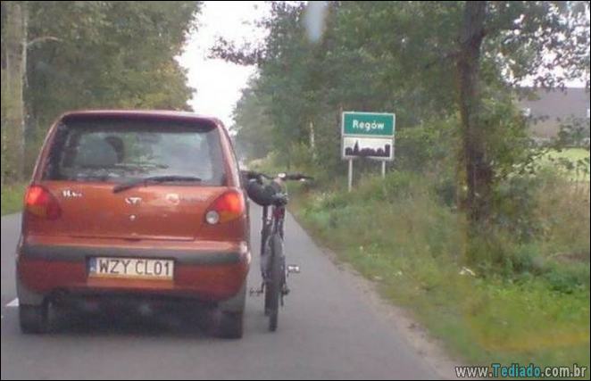 A preguiça faz o mundo girar (35 fotos) 6