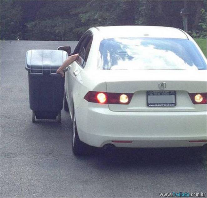 A preguiça faz o mundo girar (35 fotos) 8