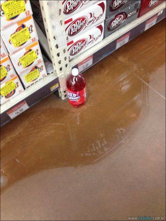 A preguiça faz o mundo girar (35 fotos) 9