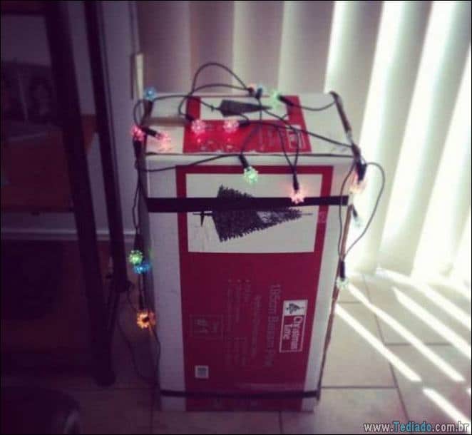 A preguiça faz o mundo girar (35 fotos) 21