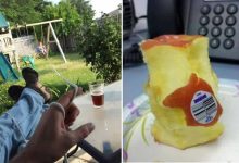 A preguiça faz o mundo girar (35 fotos) 13