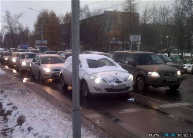 A preguiça faz o mundo girar (35 fotos) 26