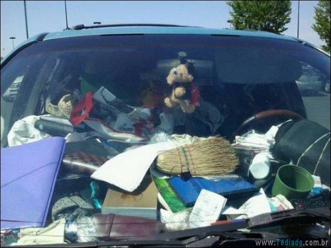 A preguiça faz o mundo girar (35 fotos) 28