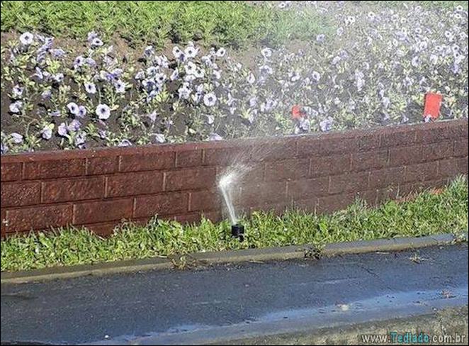 As coisas podem ser mais pior do que isso? (21 fotos) 6