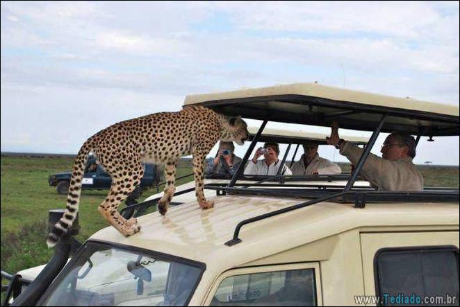 As coisas podem ser mais pior do que isso? (21 fotos) 7