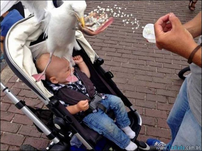 As coisas podem ser mais pior do que isso? (21 fotos) 15