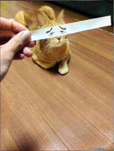 Às vezes a vida pode ser muito depressivo (16 fotos) 4