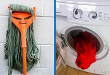 22 Coisas divertidas e enganosas que o farão olhar duas vezes 29