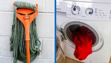 22 Coisas divertidas e enganosas que o farão olhar duas vezes 24