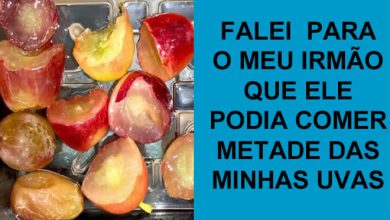 12 coisas em que as crianças são muito melhores que os adultos 6
