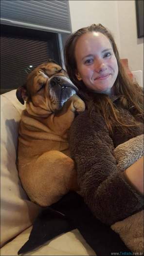 24 fotos de cachorros em momentos muito diferente e estranho 5