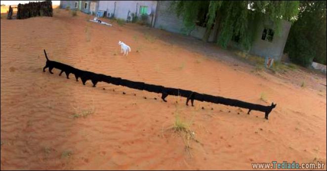 21 fotos panorâmicos que não foram de acordo com o plano 1