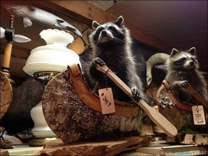 Honestamente, é impossível não querer estes itens (31 fotos) 7