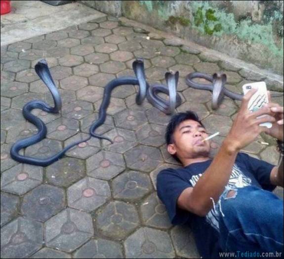 Não há nada mais estranho do que essas fotos (31 fotos) 5