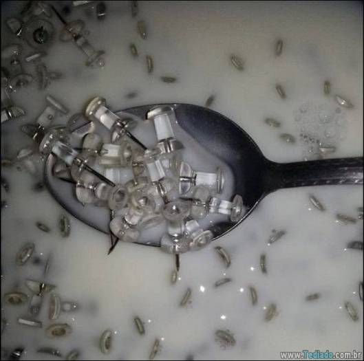 Não há nada mais estranho do que essas fotos (31 fotos) 18