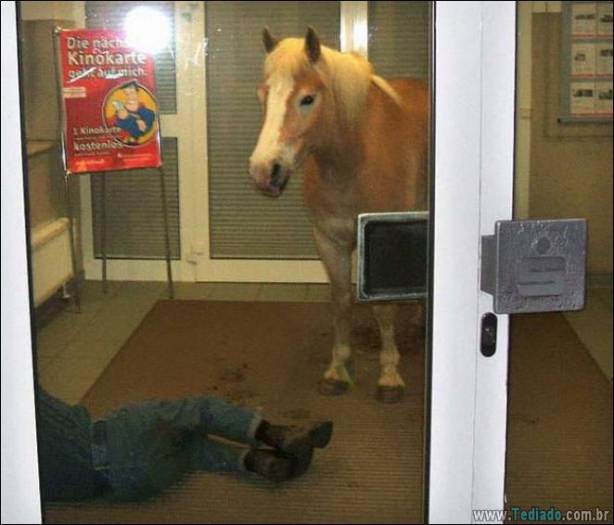 Não há nada mais estranho do que essas fotos (31 fotos) 21