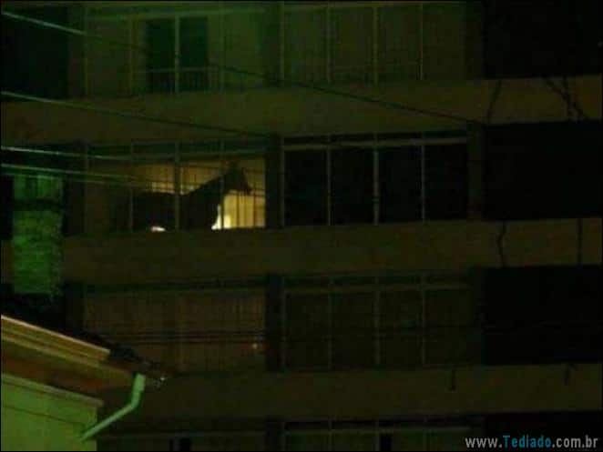 Não há nada mais estranho do que essas fotos (31 fotos) 25