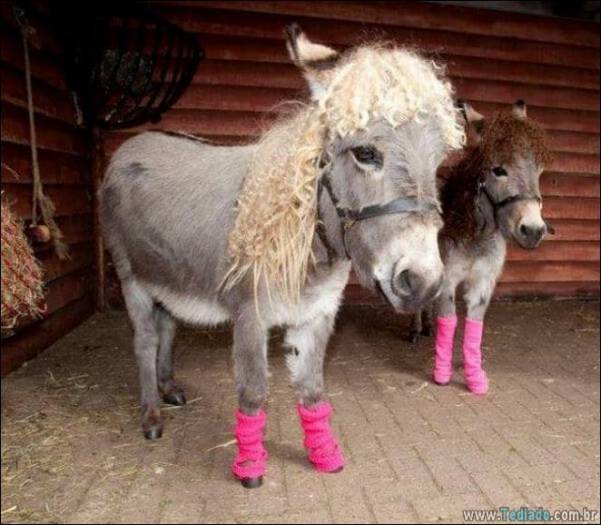 Não há nada mais estranho do que essas fotos (31 fotos) 27