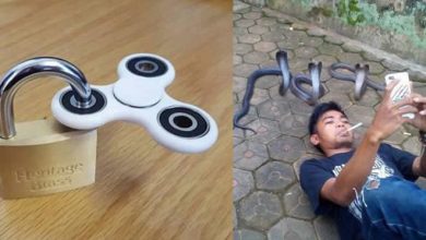 Não há nada mais estranho do que essas fotos (31 fotos) 6