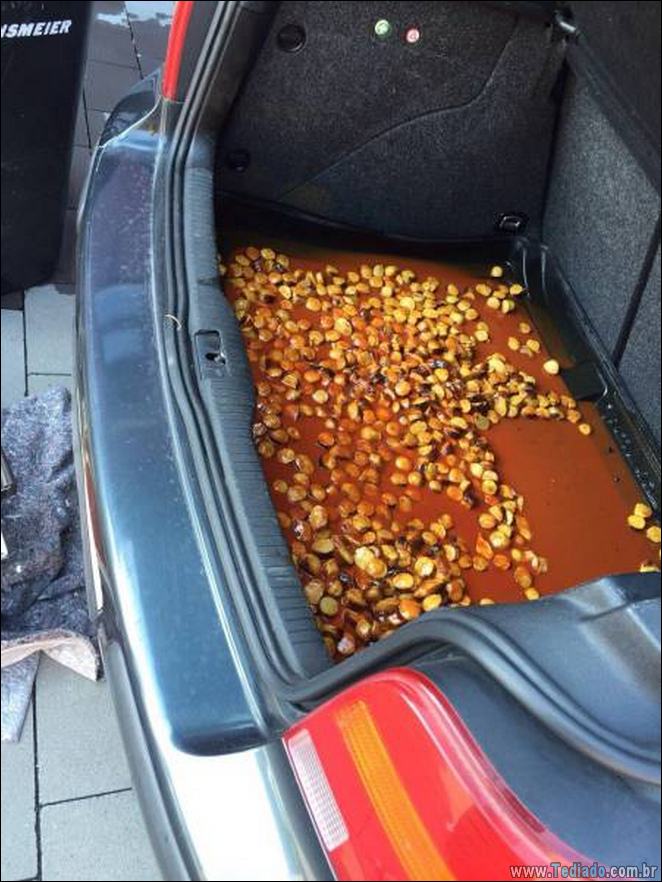 É impossível explicar essas 23 fotos 8