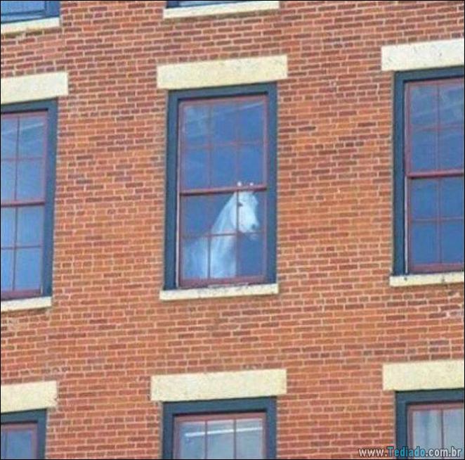 É impossível explicar essas 23 fotos 15