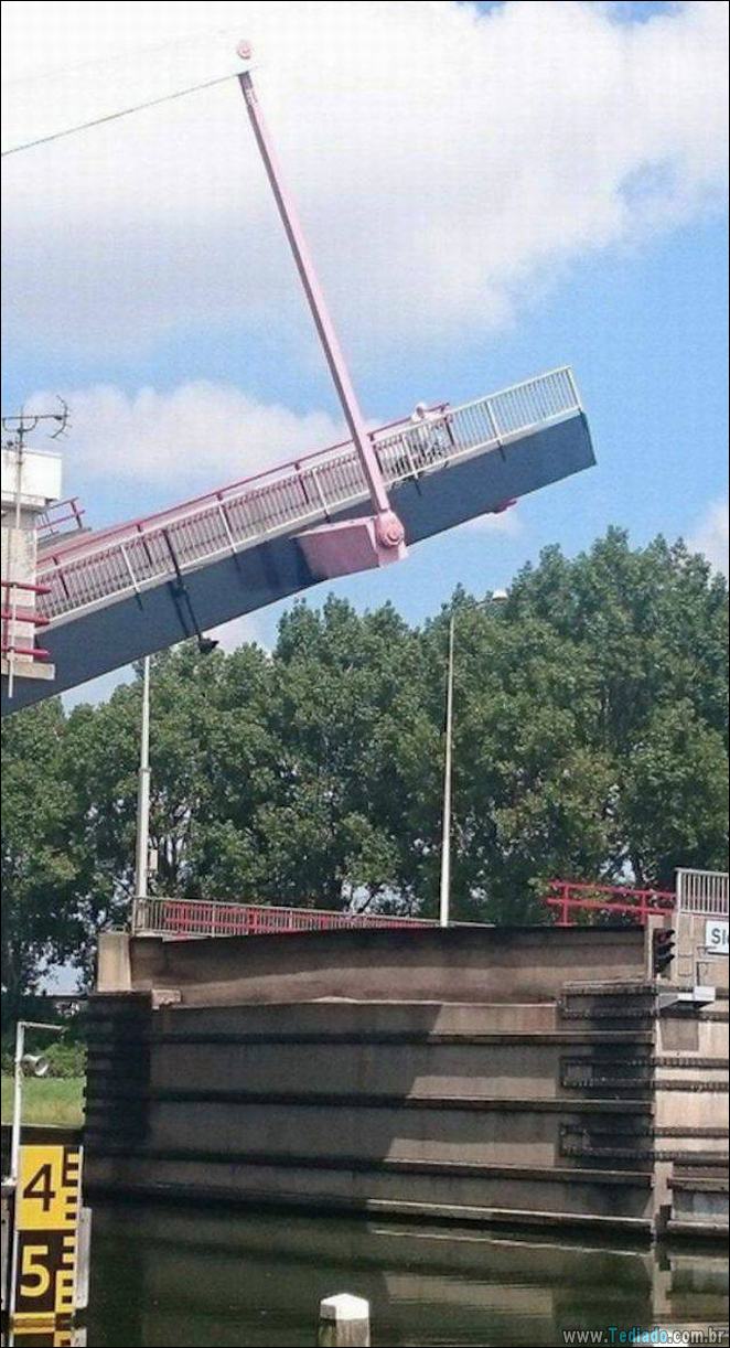 É impossível explicar essas 23 fotos 23