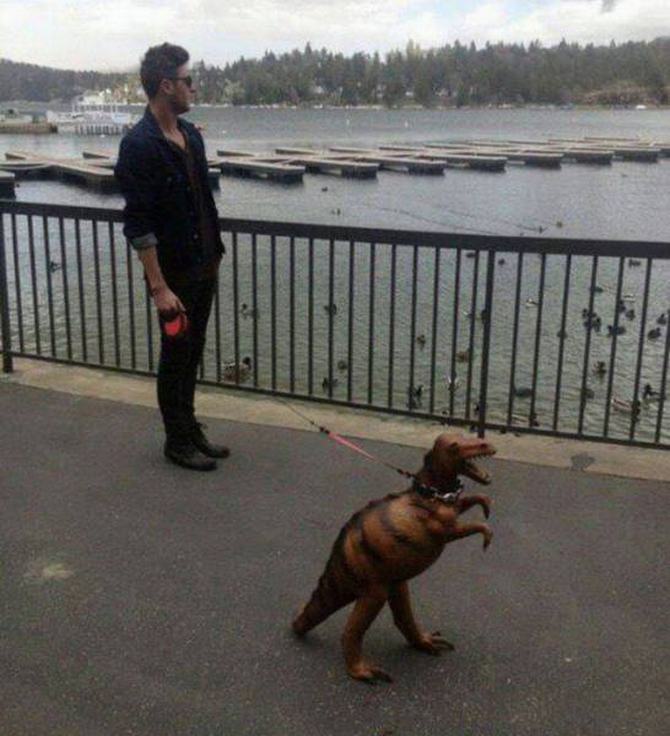 Existem algumas coisas que só homens loucos e doidos entendem (35 fotos) 14