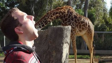 Existem algumas coisas que só homens loucos e doidos entendem (35 fotos) 5