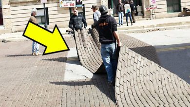 10 fatos que mostram que a sua vida é uma mentira 9