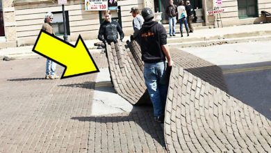 10 fatos que mostram que a sua vida é uma mentira 14