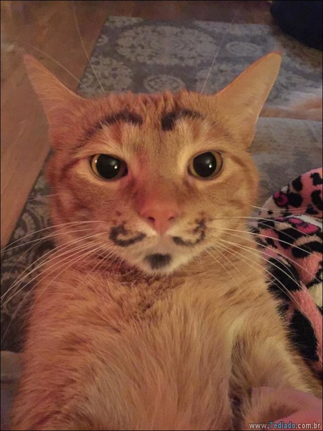 28 fotos divertidas que mostram o que acontece quando crianças ficar sozinhas 3