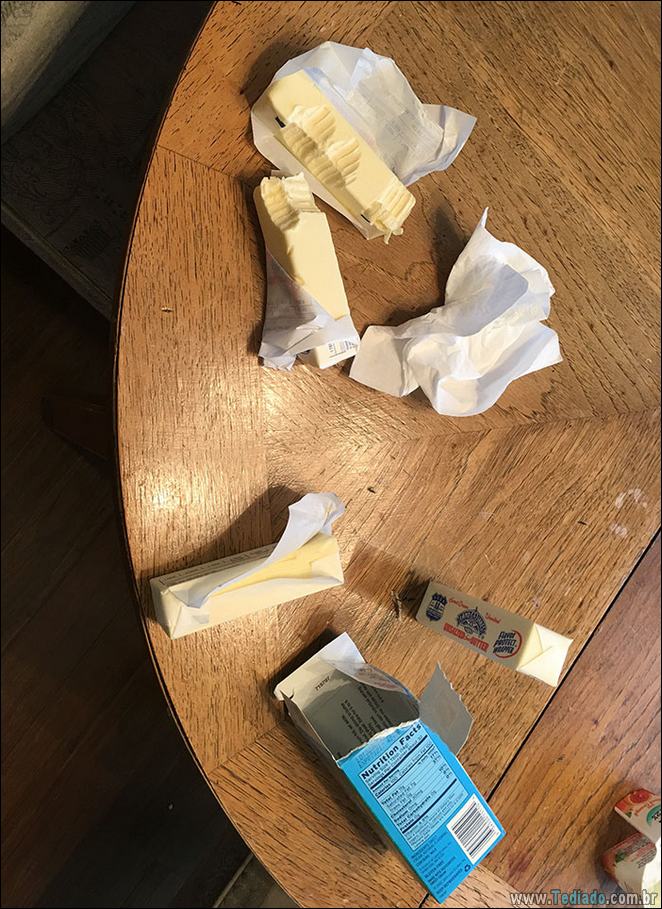 28 fotos divertidas que mostram o que acontece quando crianças ficar sozinhas 23