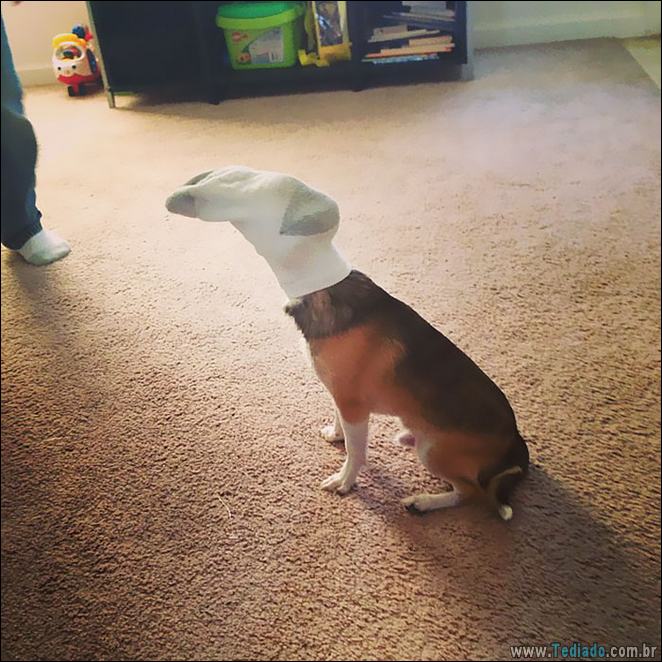 28 fotos divertidas que mostram o que acontece quando crianças ficar sozinhas 28