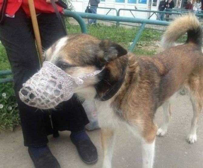 O que é estranho para você é perfeitamente normal para os russos (23 fotos) 6